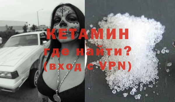 индика Няндома