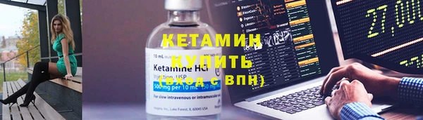 индика Няндома