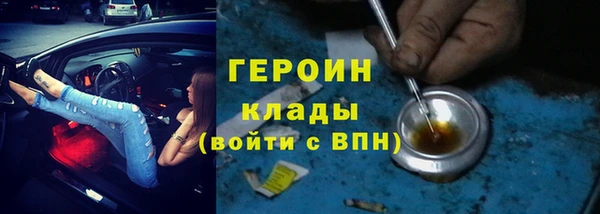 индика Няндома