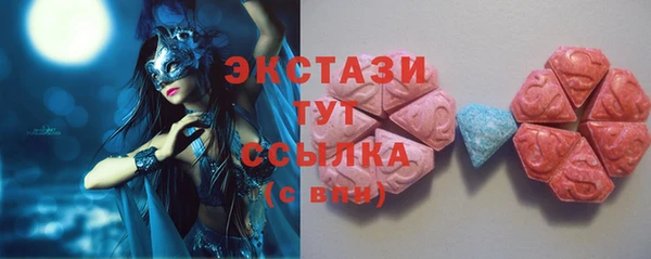 индика Няндома