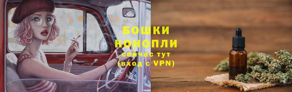 индика Няндома