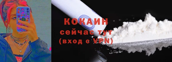 индика Няндома