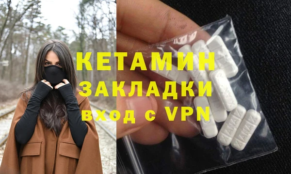 индика Няндома