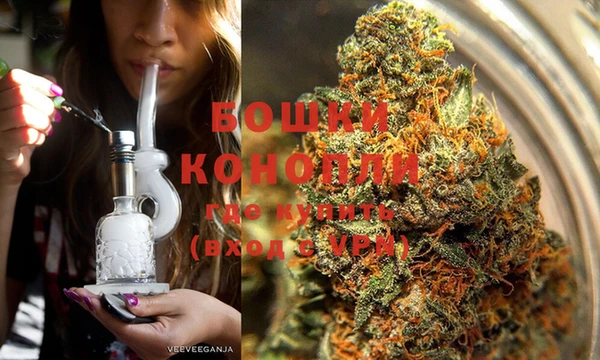 индика Няндома