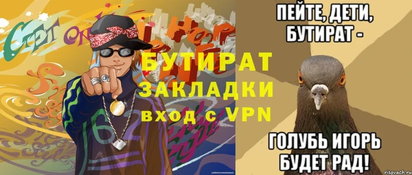 индика Няндома