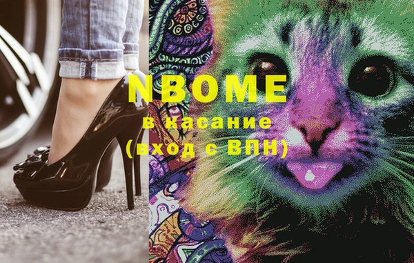индика Няндома