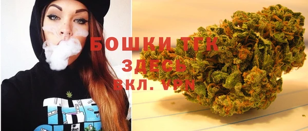 дживик Нягань